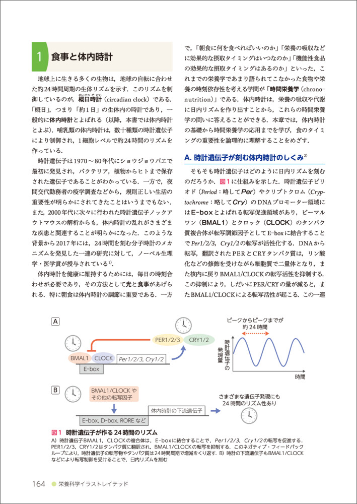 サムネイル画像4