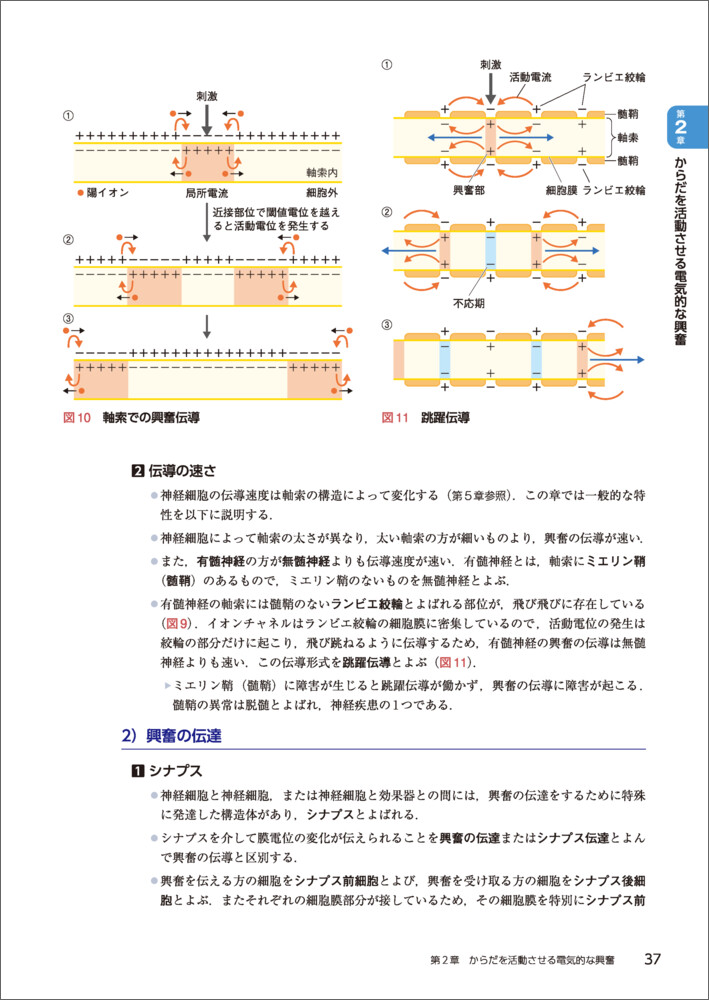 サムネイル画像4