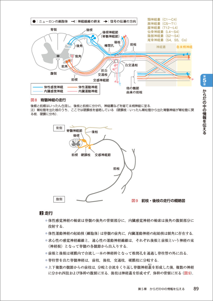 サムネイル画像5