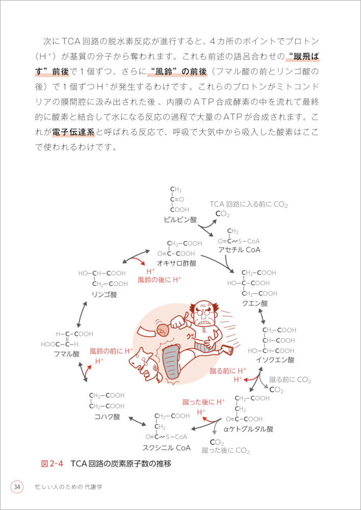 サムネイル画像4