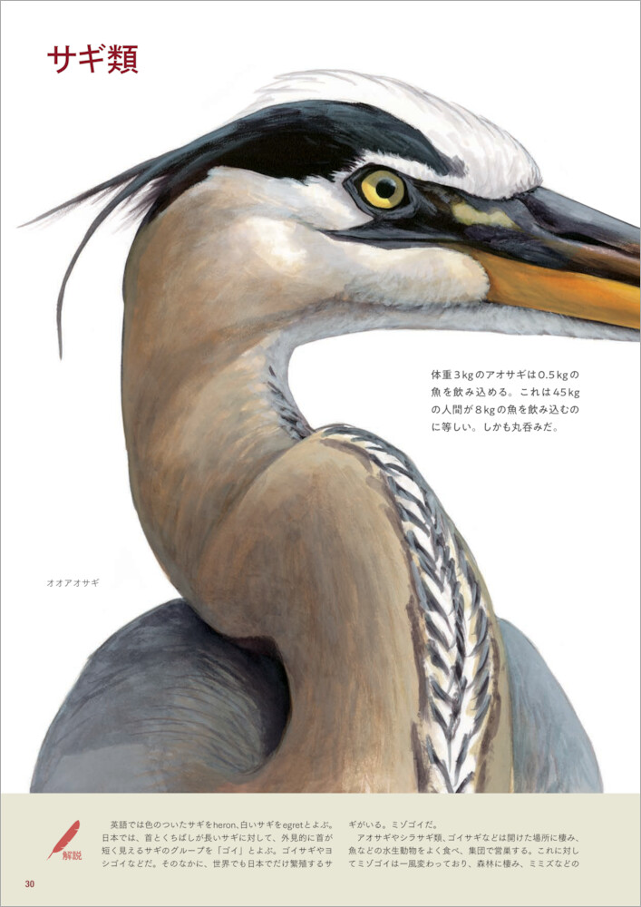 サムネイル画像2