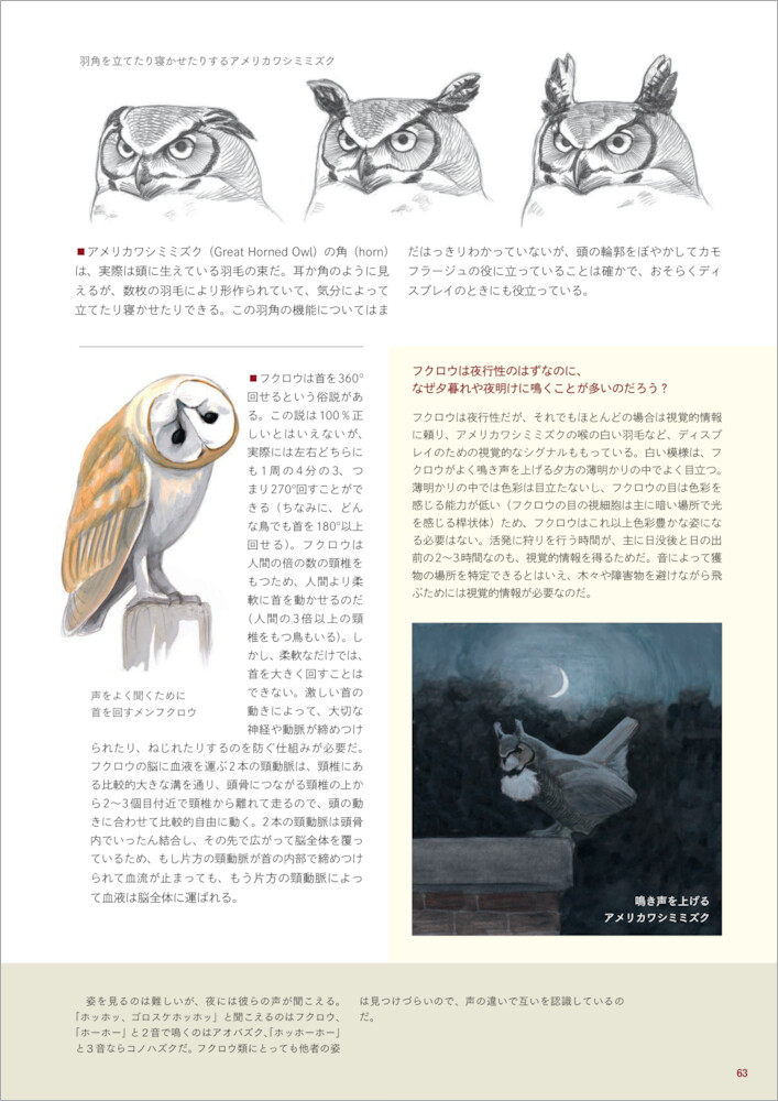 サムネイル画像5