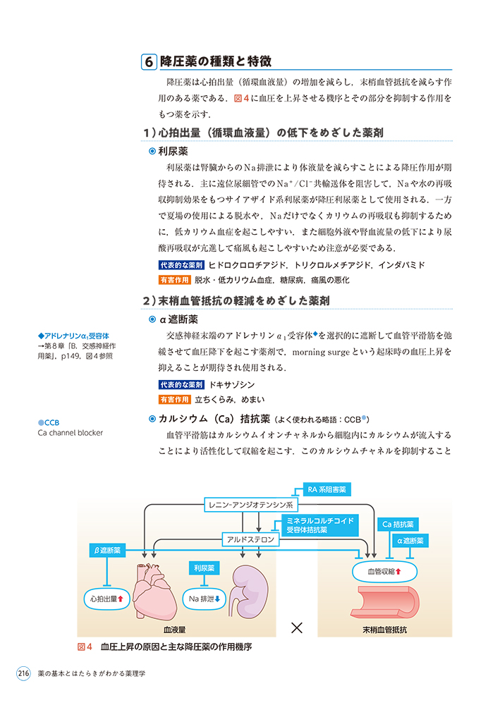 サムネイル画像5