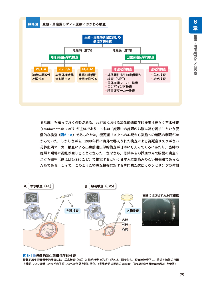 サムネイル画像5