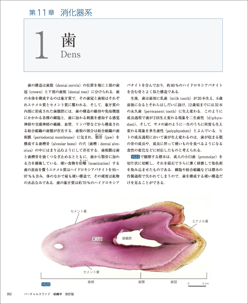 サムネイル画像7