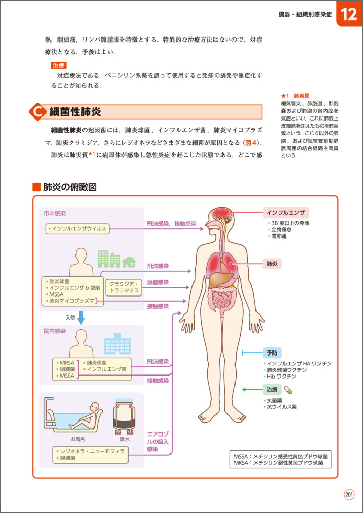 サムネイル画像2