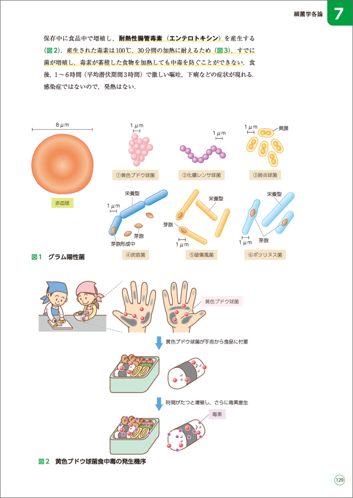 サムネイル画像3