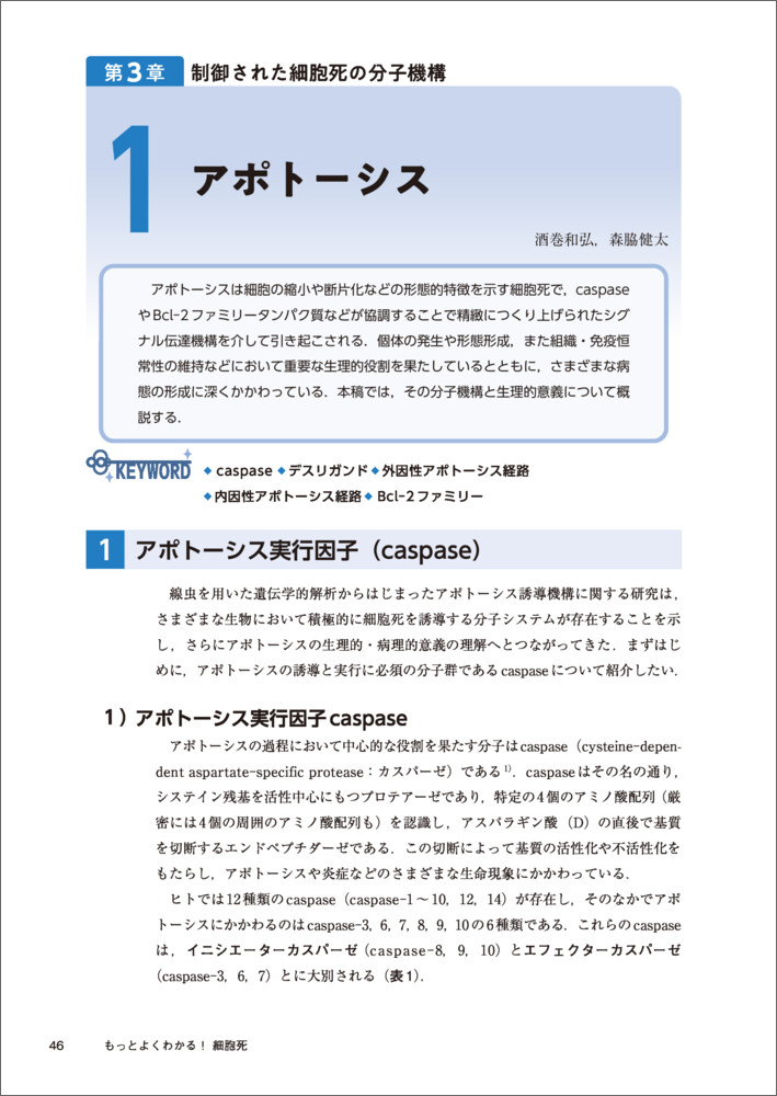サムネイル画像2