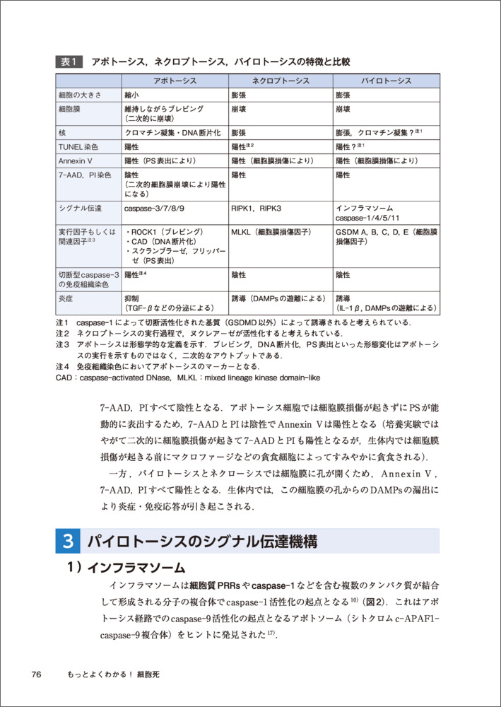 サムネイル画像3