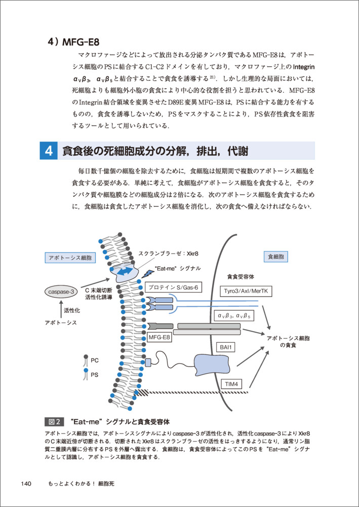 サムネイル画像4