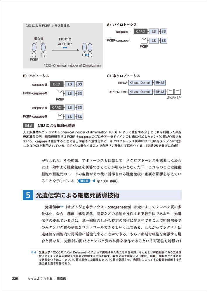 サムネイル画像6