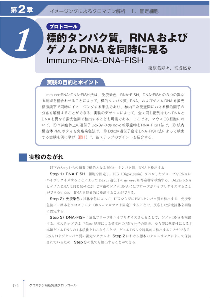 サムネイル画像4