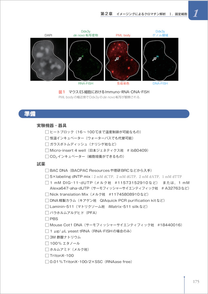 サムネイル画像5