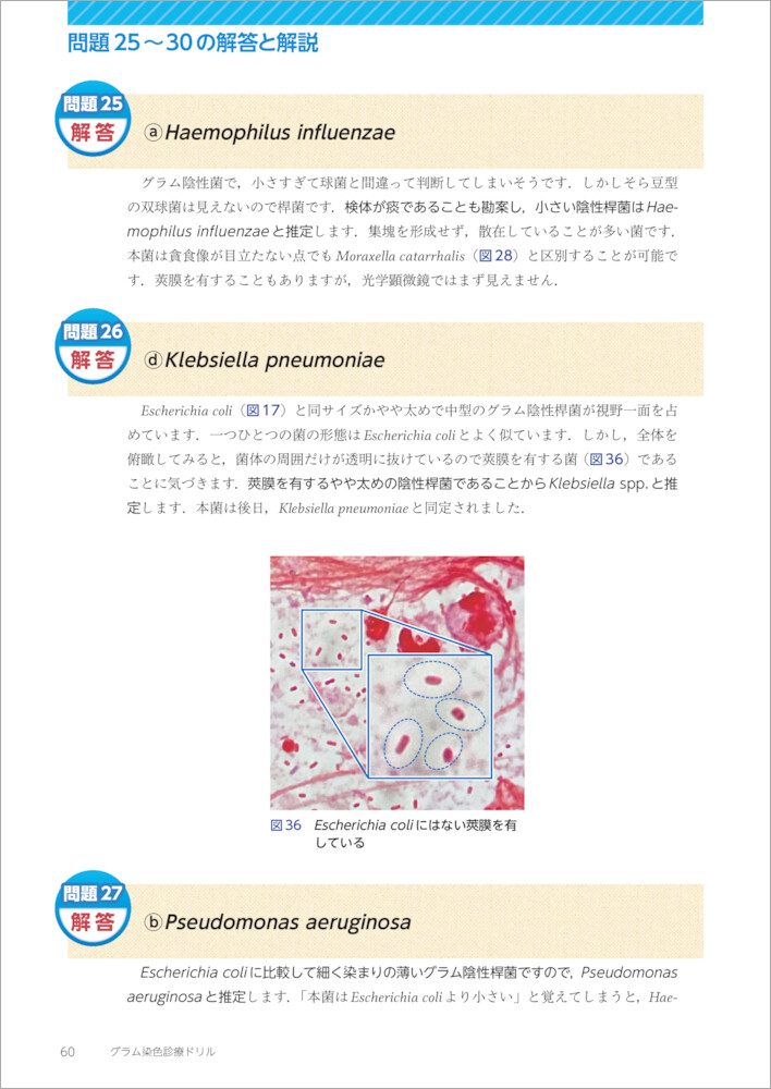 サムネイル画像4