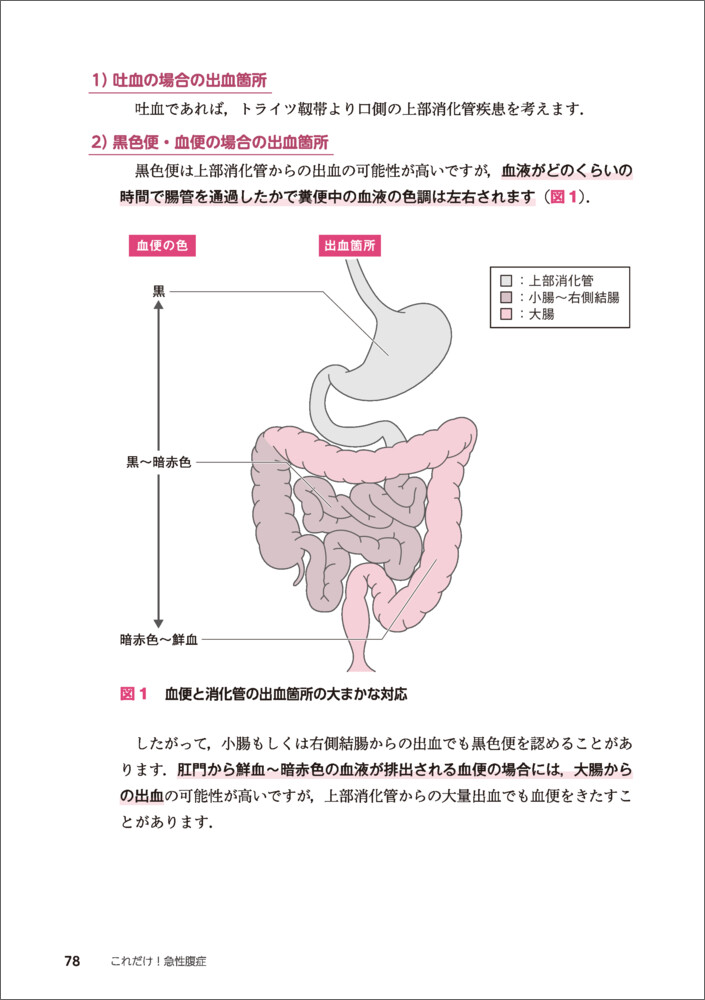 サムネイル画像4
