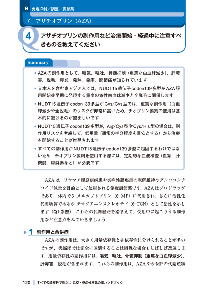 サムネイル画像6
