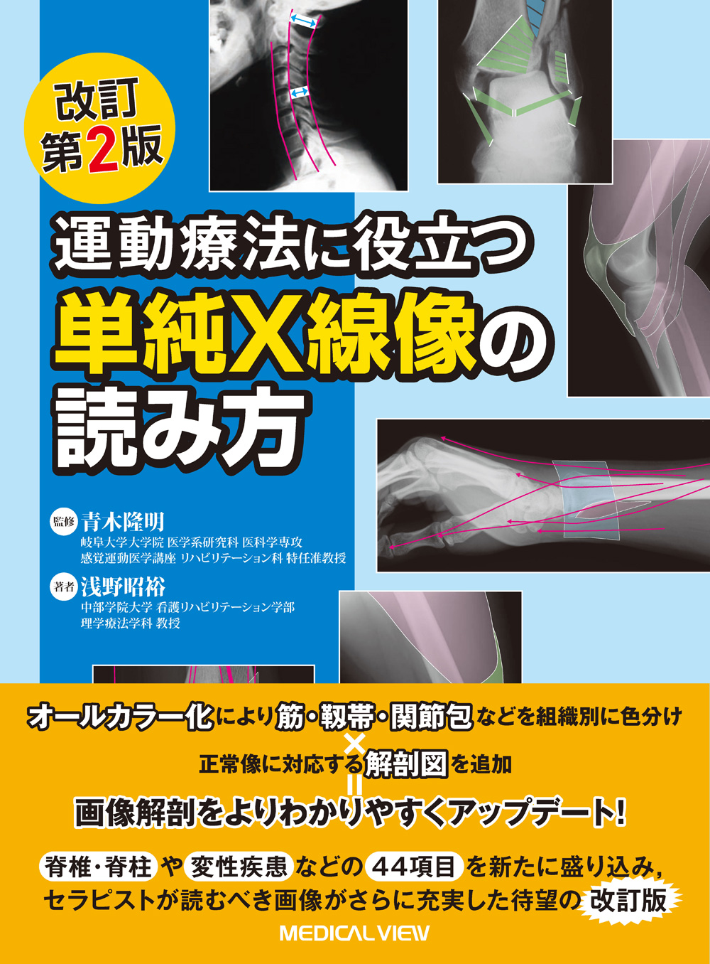 メイン画像
