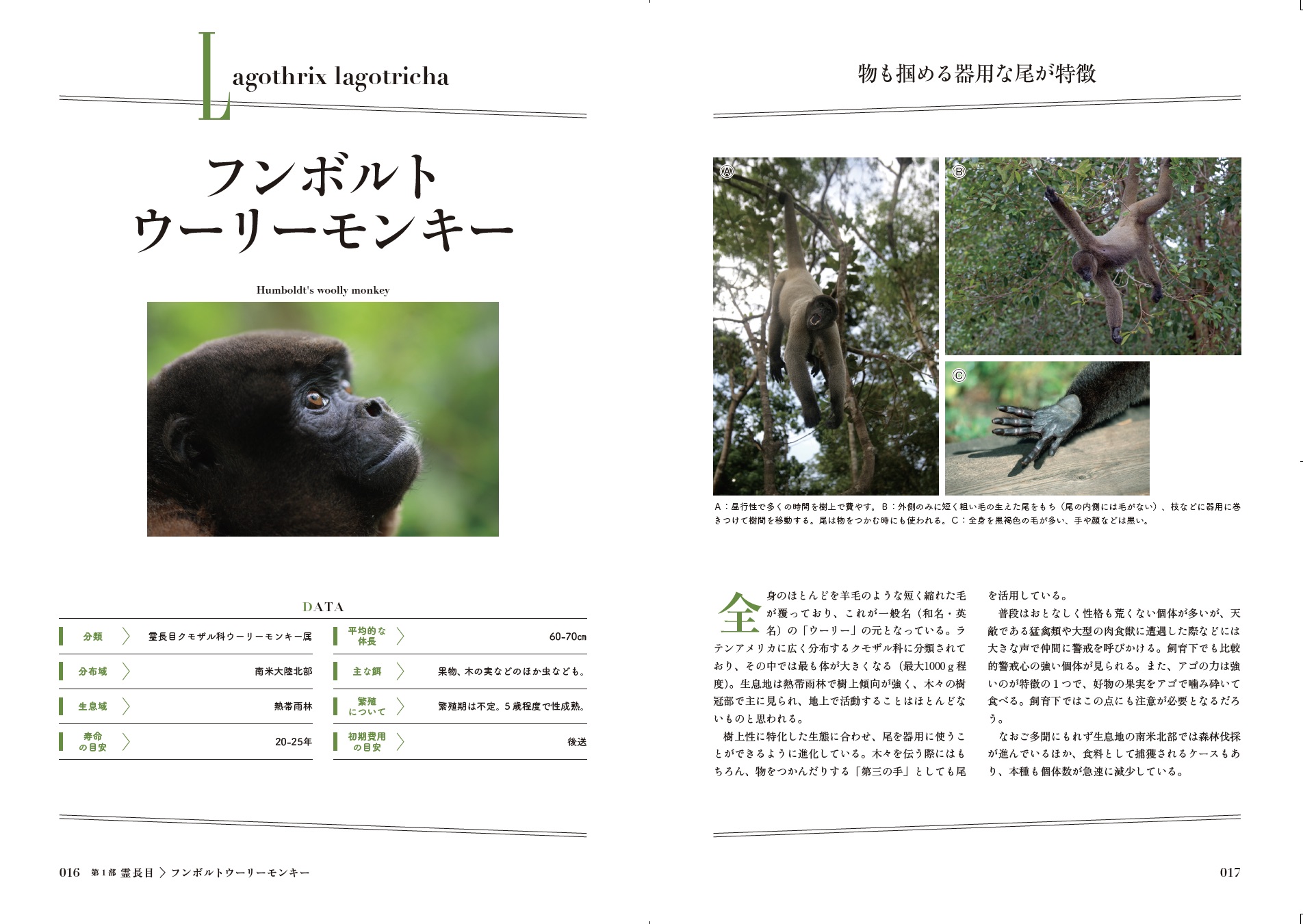 サムネイル画像1
