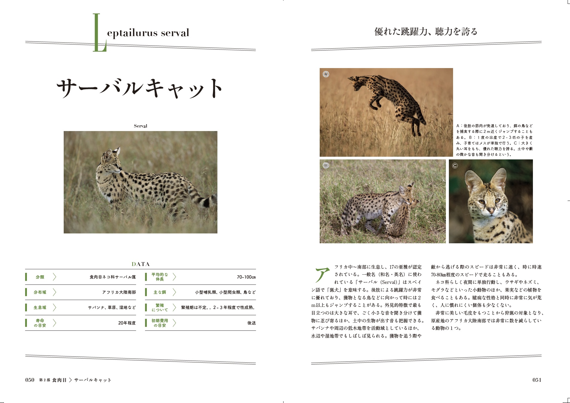 サムネイル画像2
