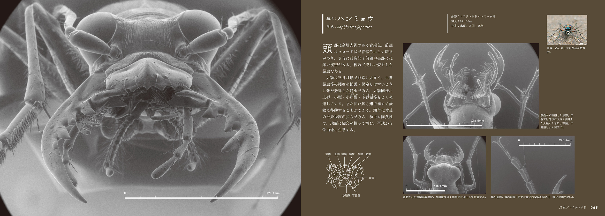 サムネイル画像4