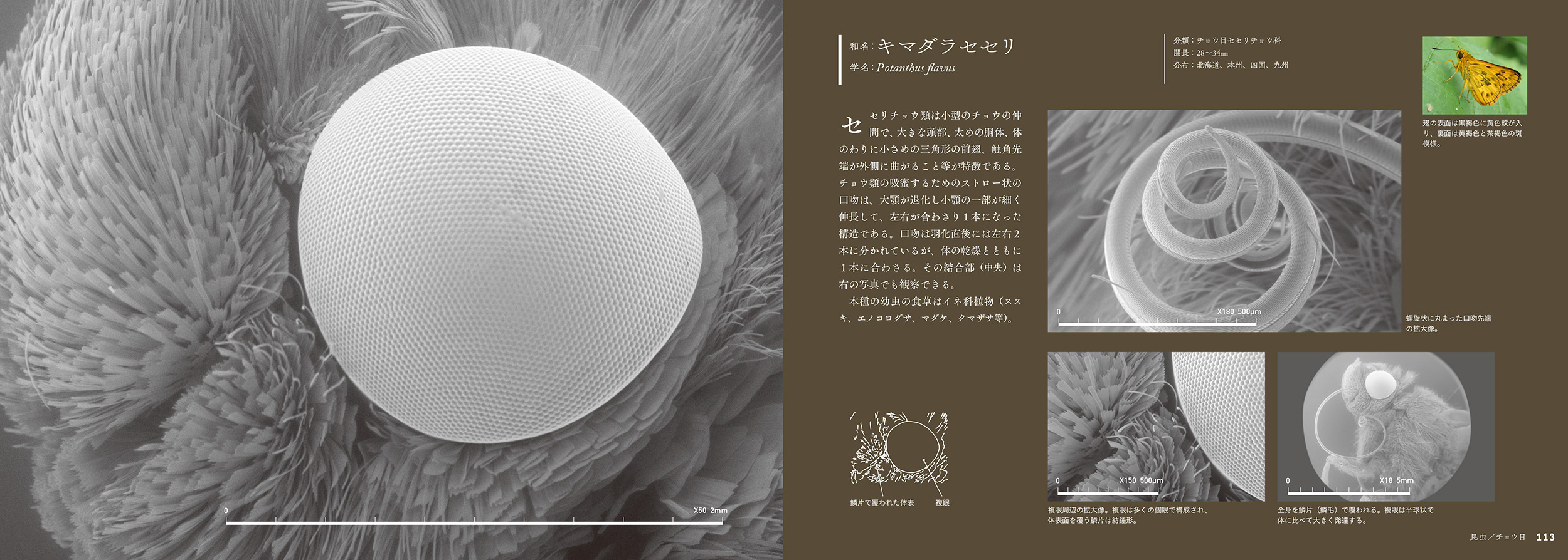 サムネイル画像5