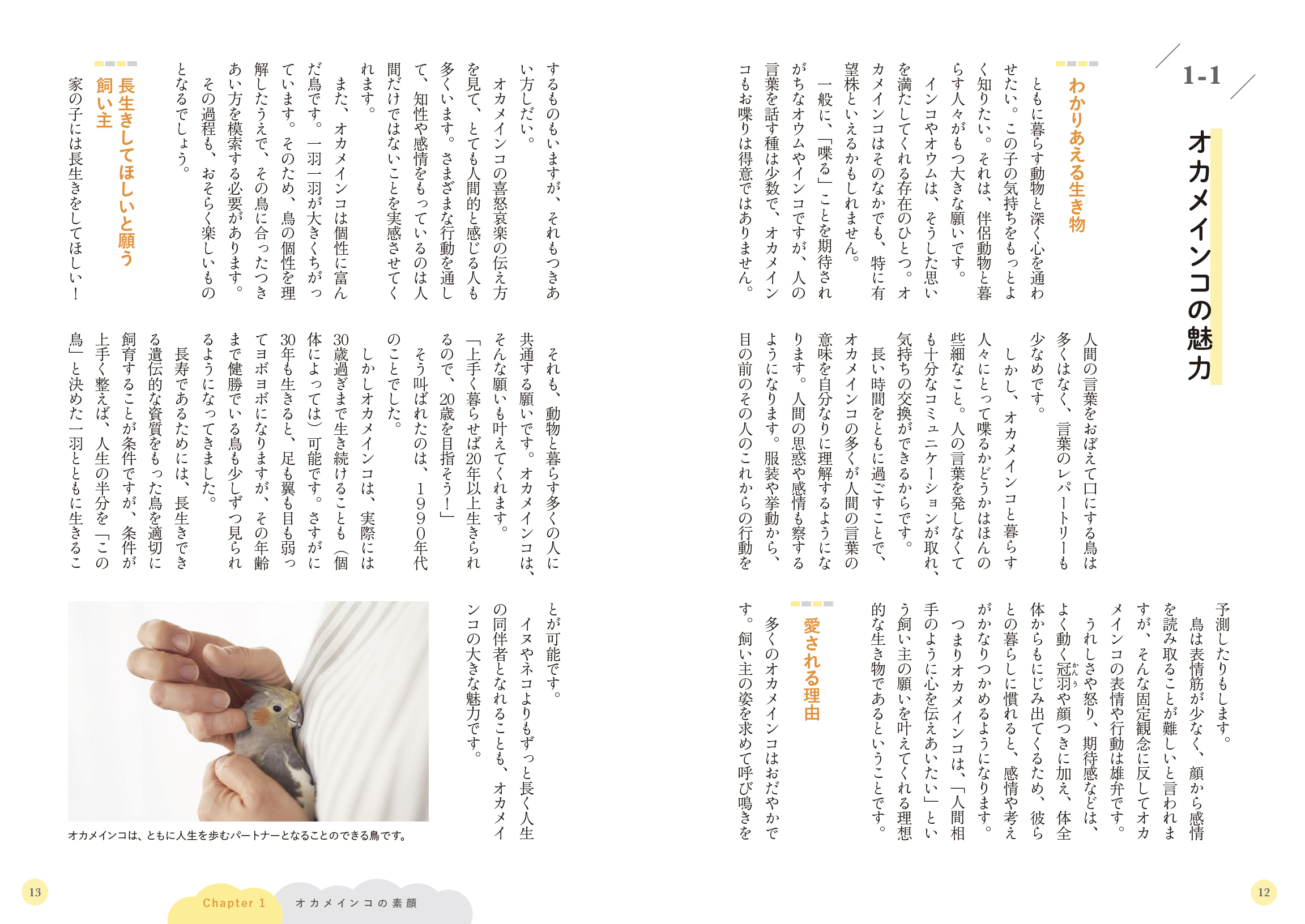サムネイル画像5