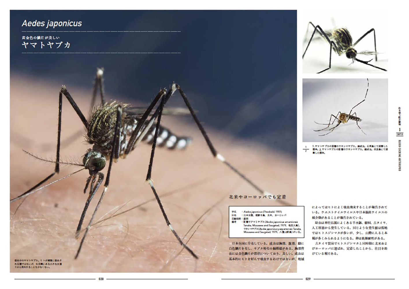 サムネイル画像3