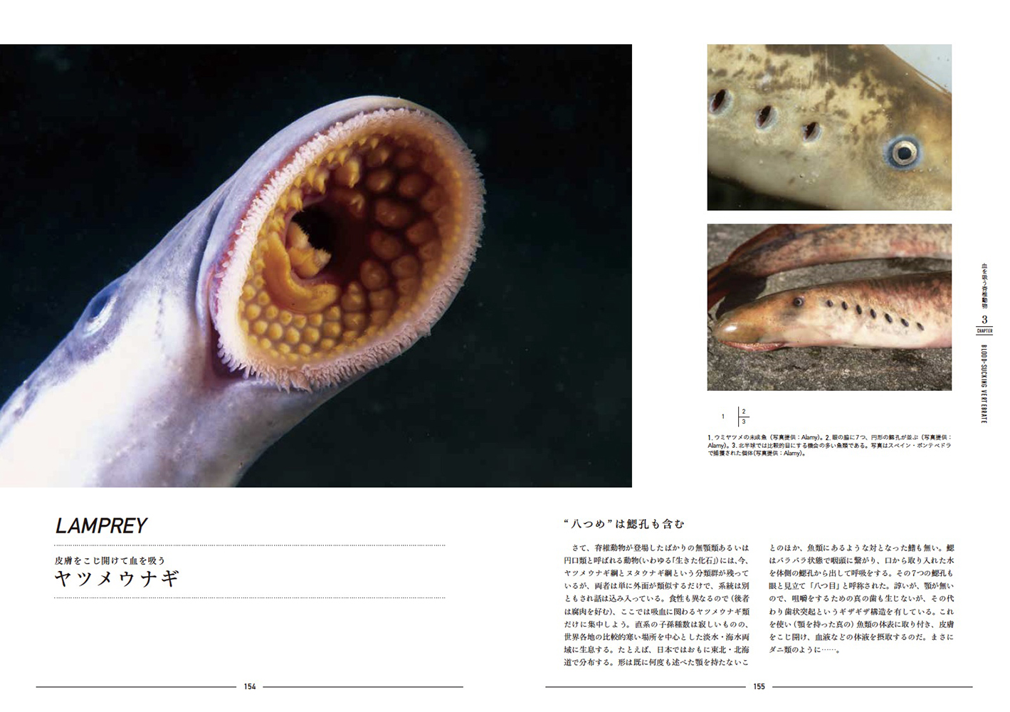 サムネイル画像4