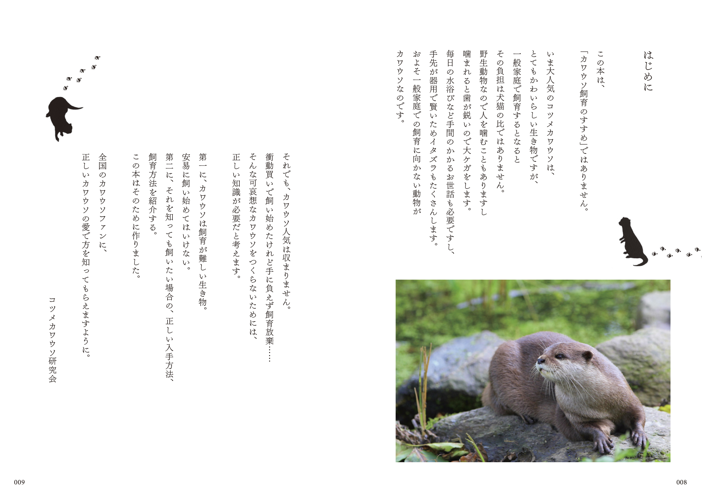 サムネイル画像2