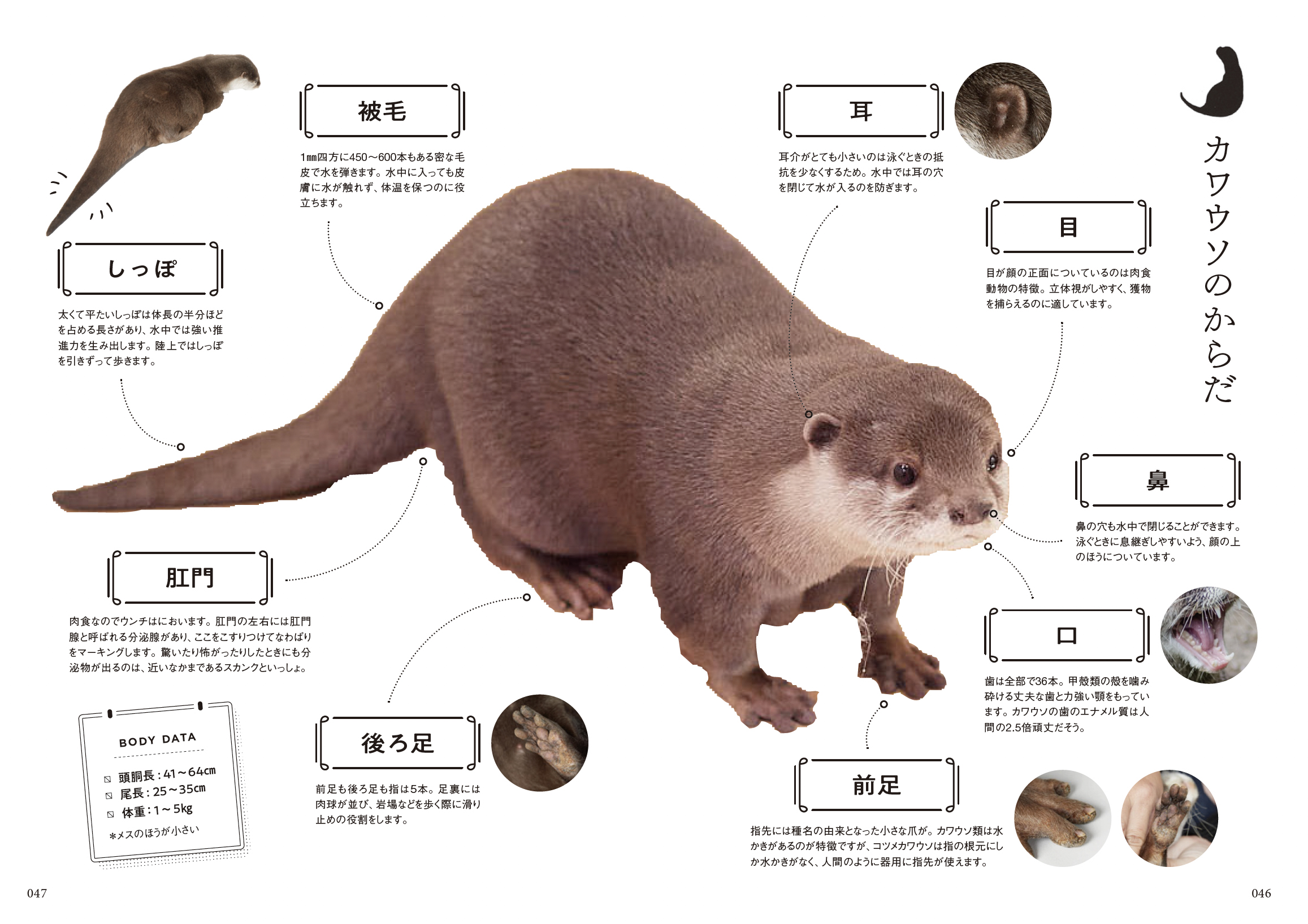 サムネイル画像5