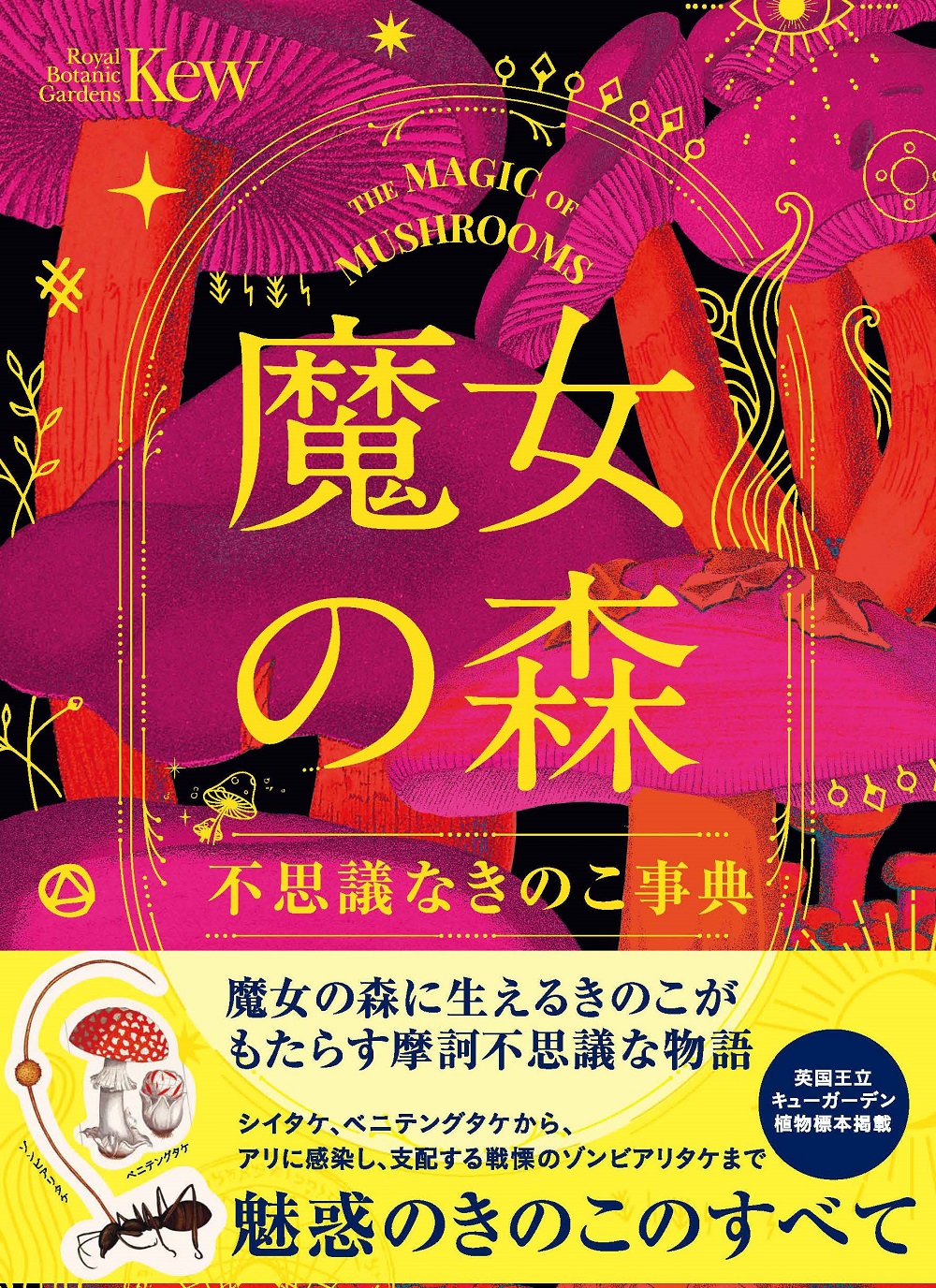 サムネイル画像1