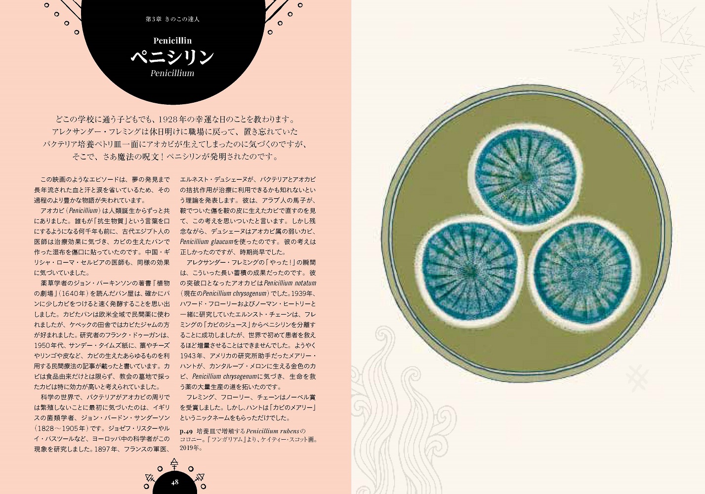 サムネイル画像4