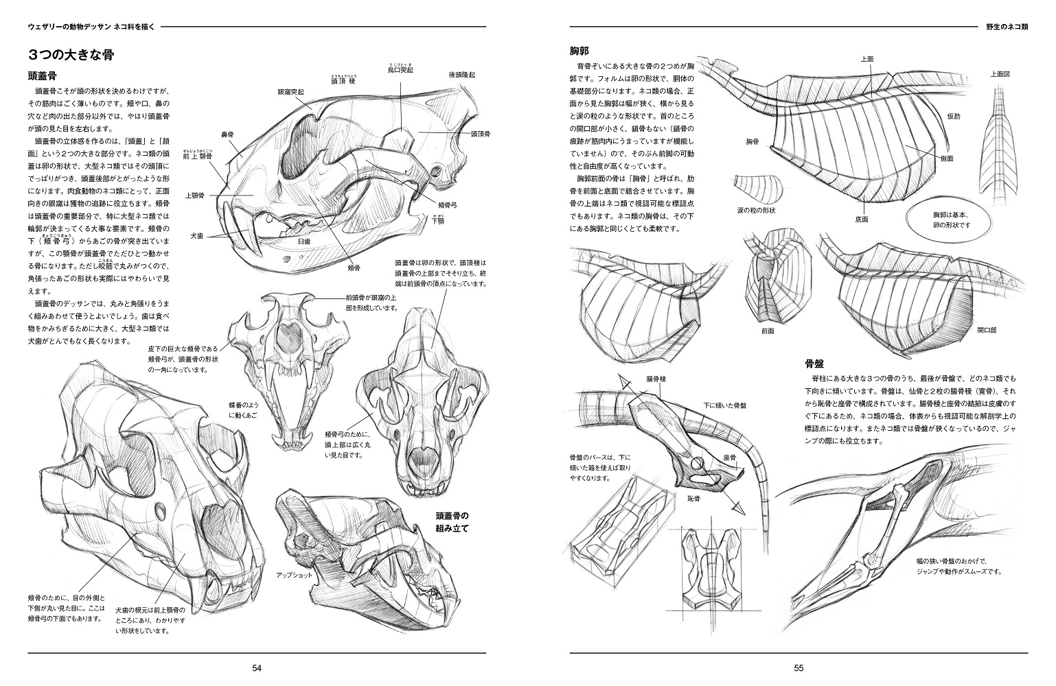 サムネイル画像3