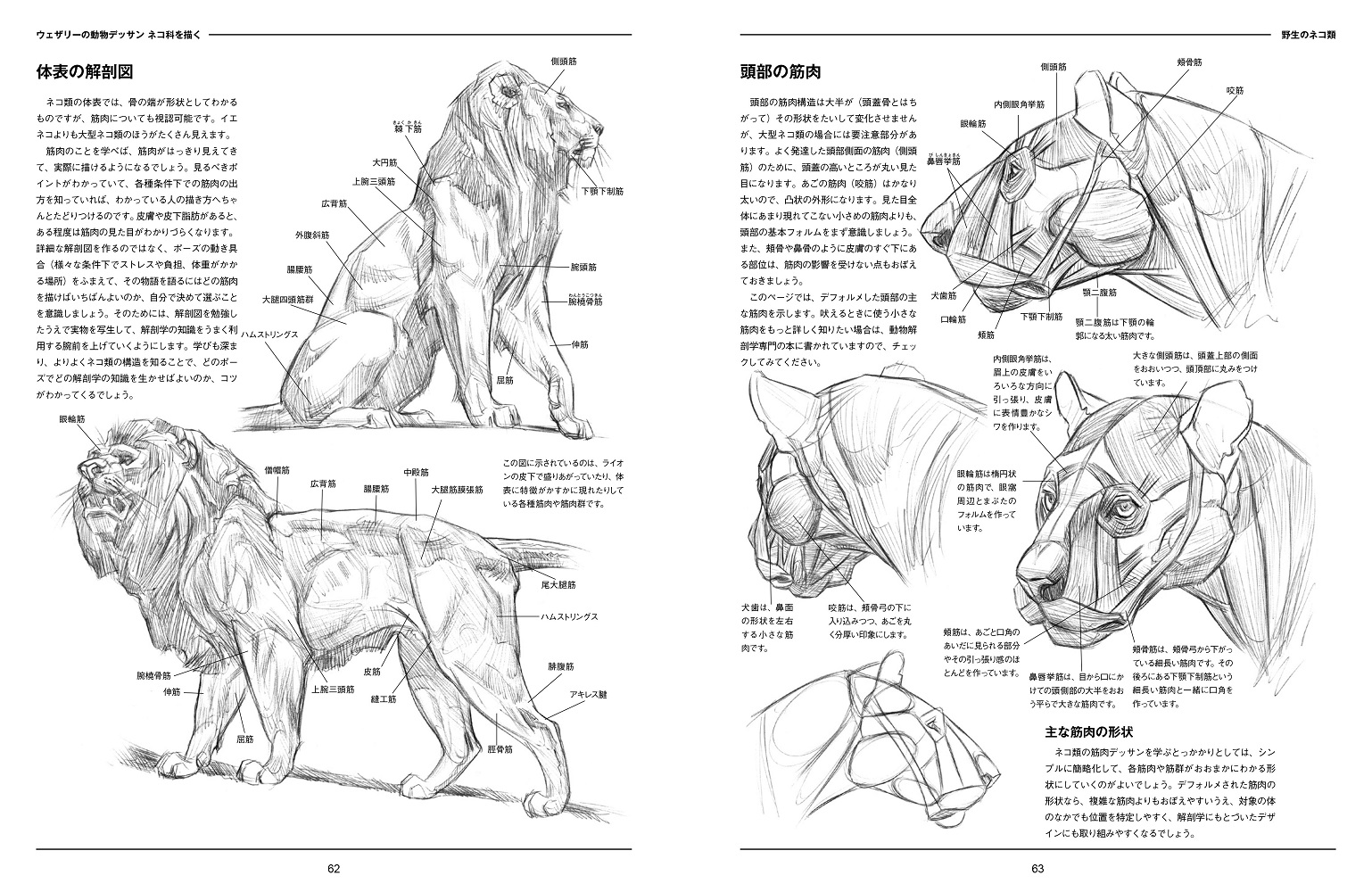 サムネイル画像4