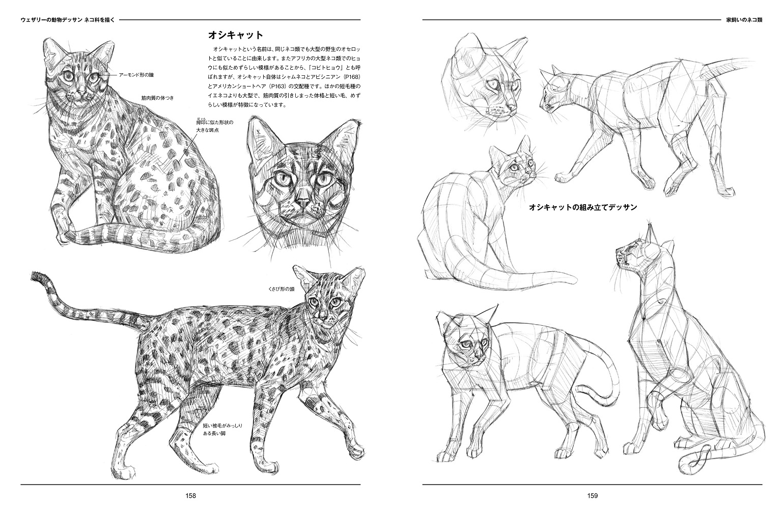 サムネイル画像5
