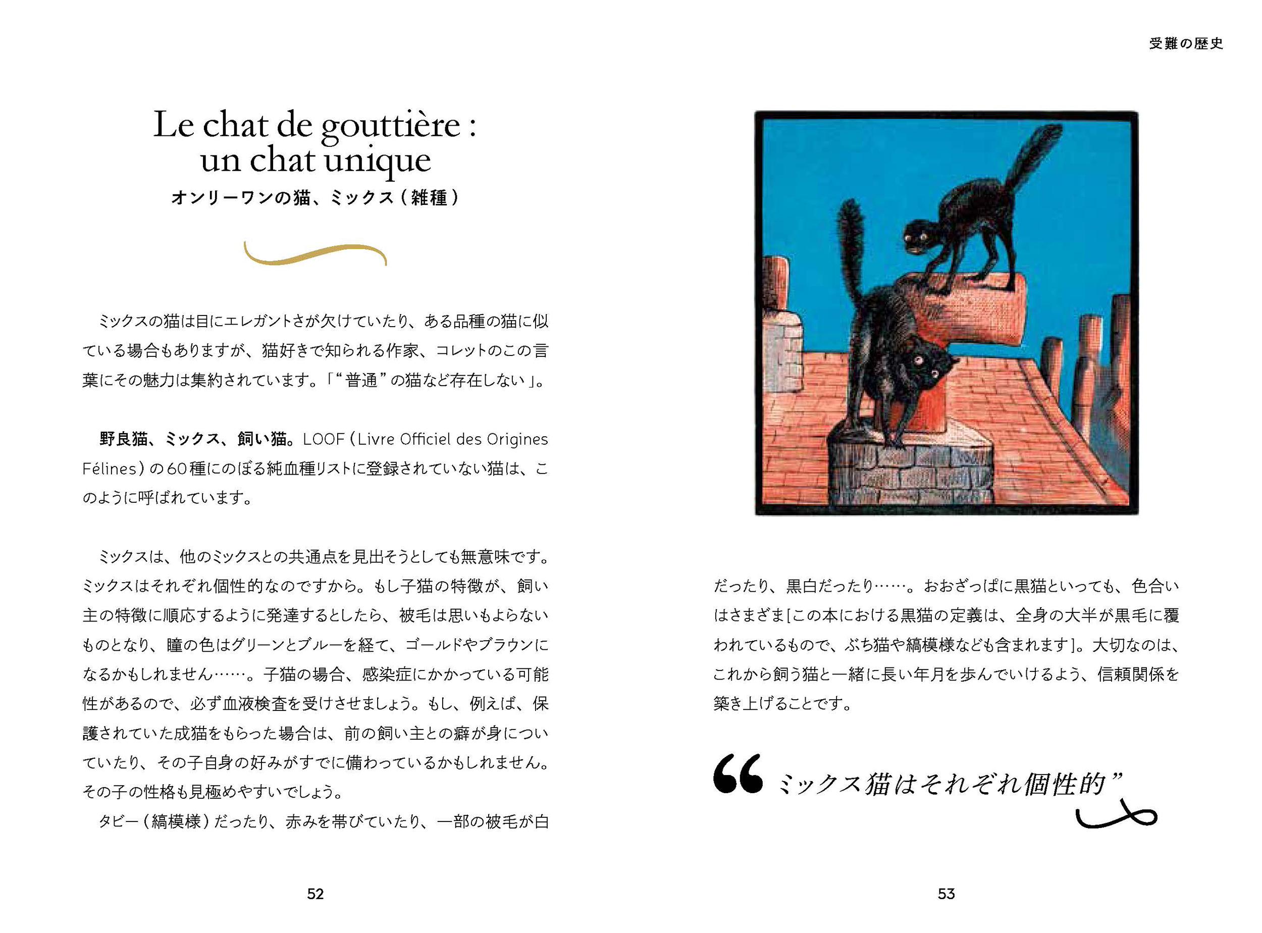 サムネイル画像4