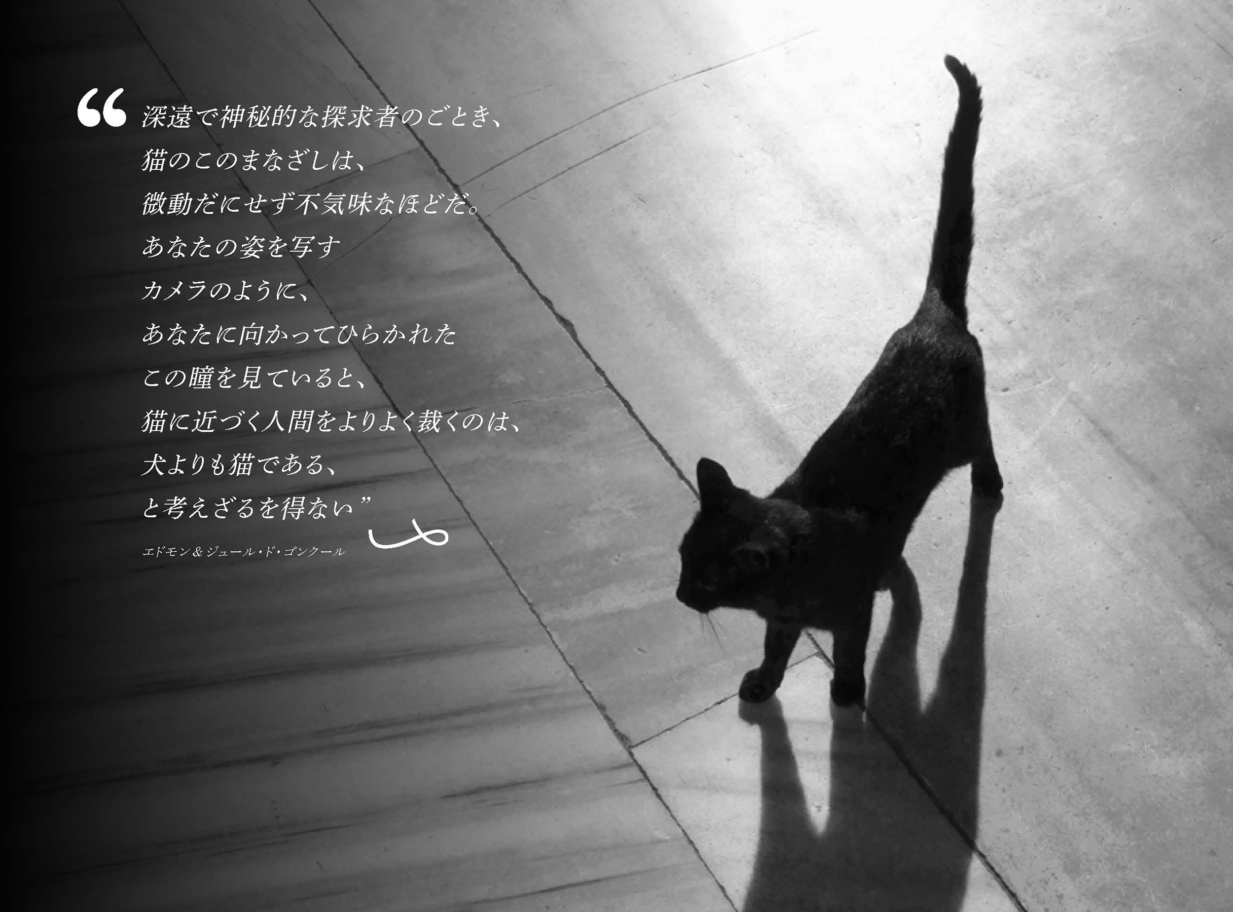 サムネイル画像5