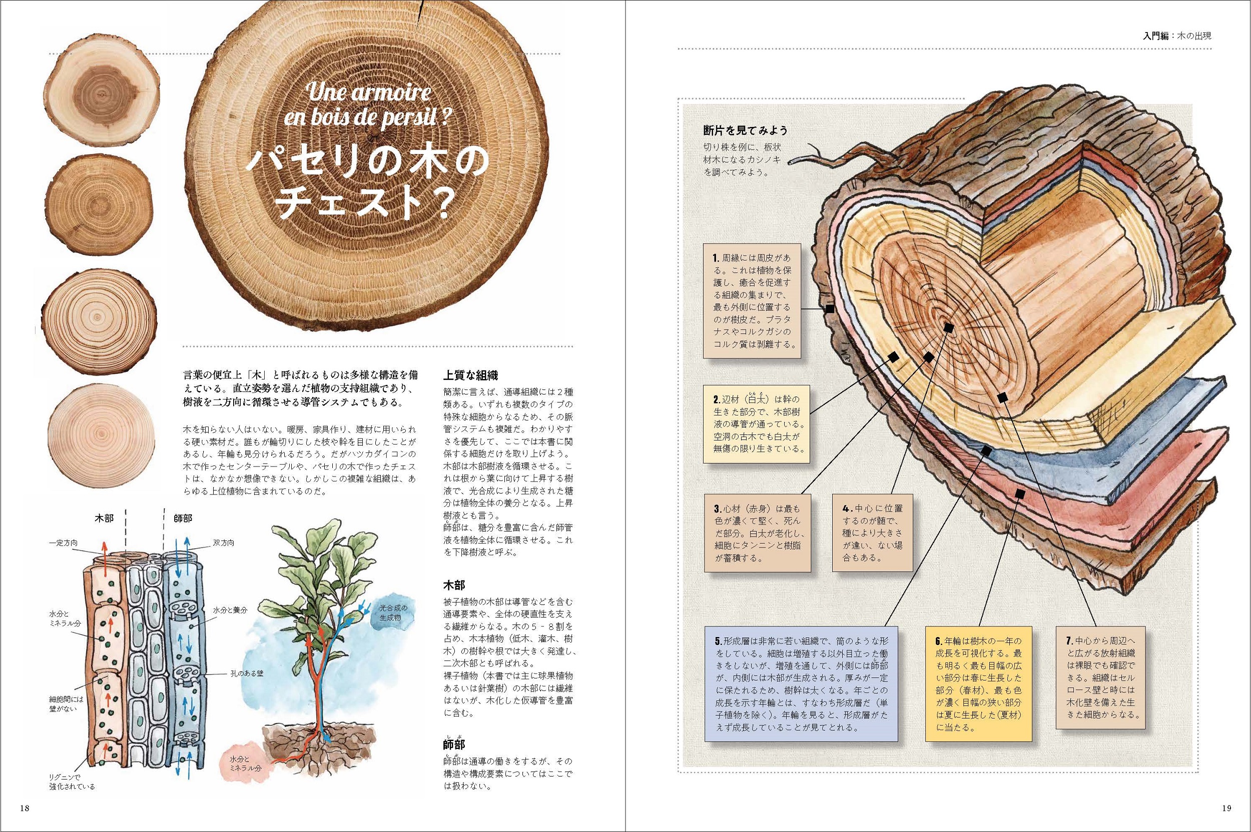 サムネイル画像1