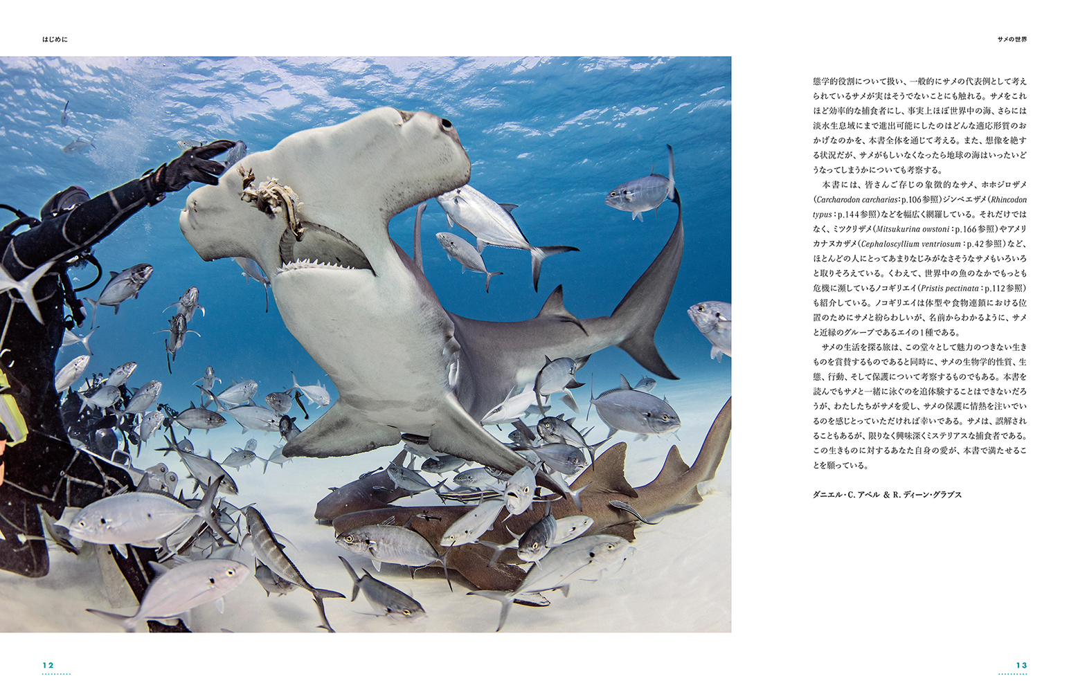 サムネイル画像2