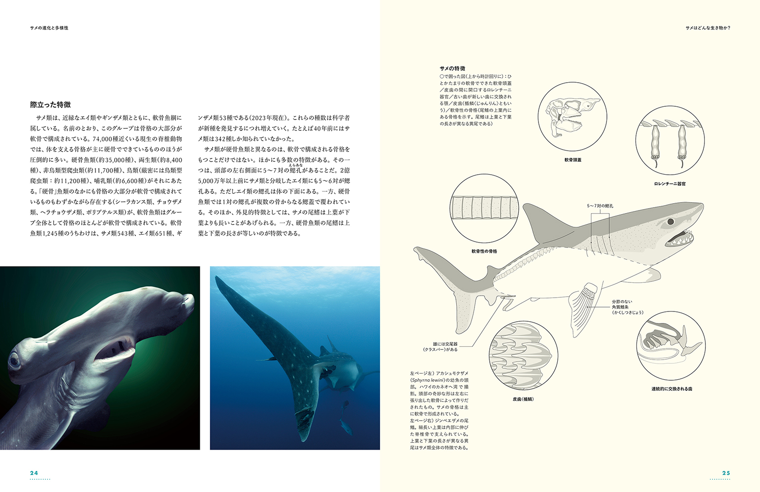 サムネイル画像3