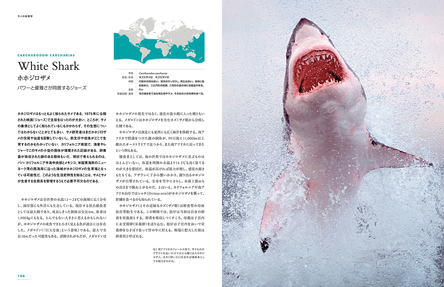 サムネイル画像5
