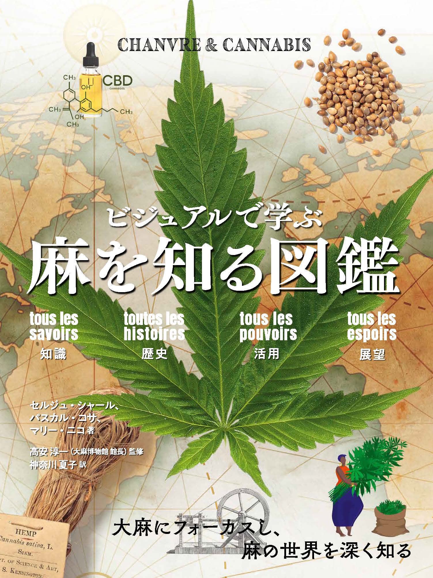 メイン画像