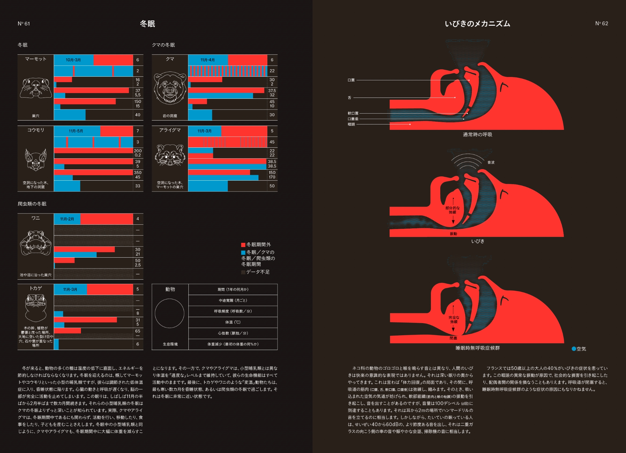 サムネイル画像4