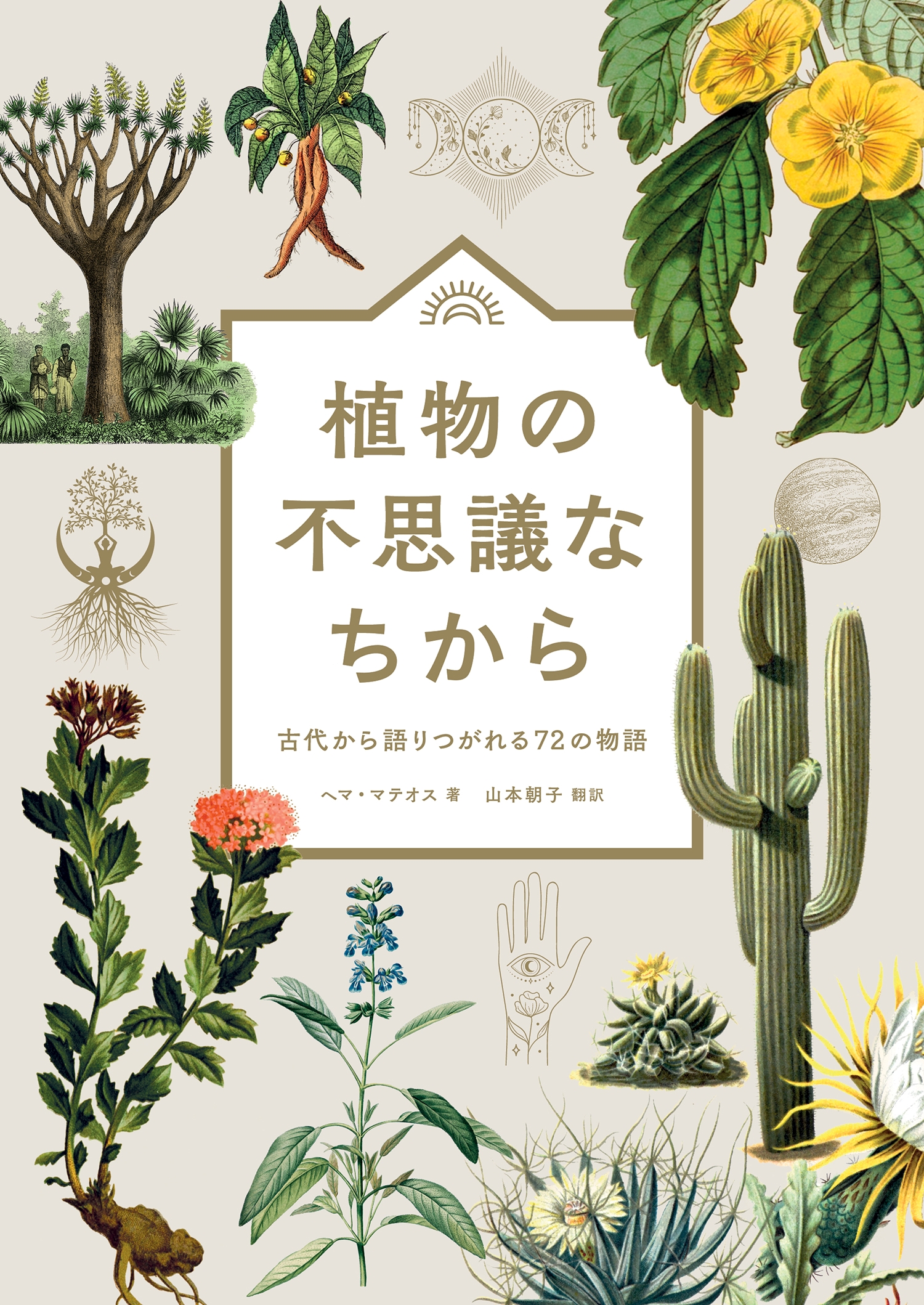 サムネイル画像1