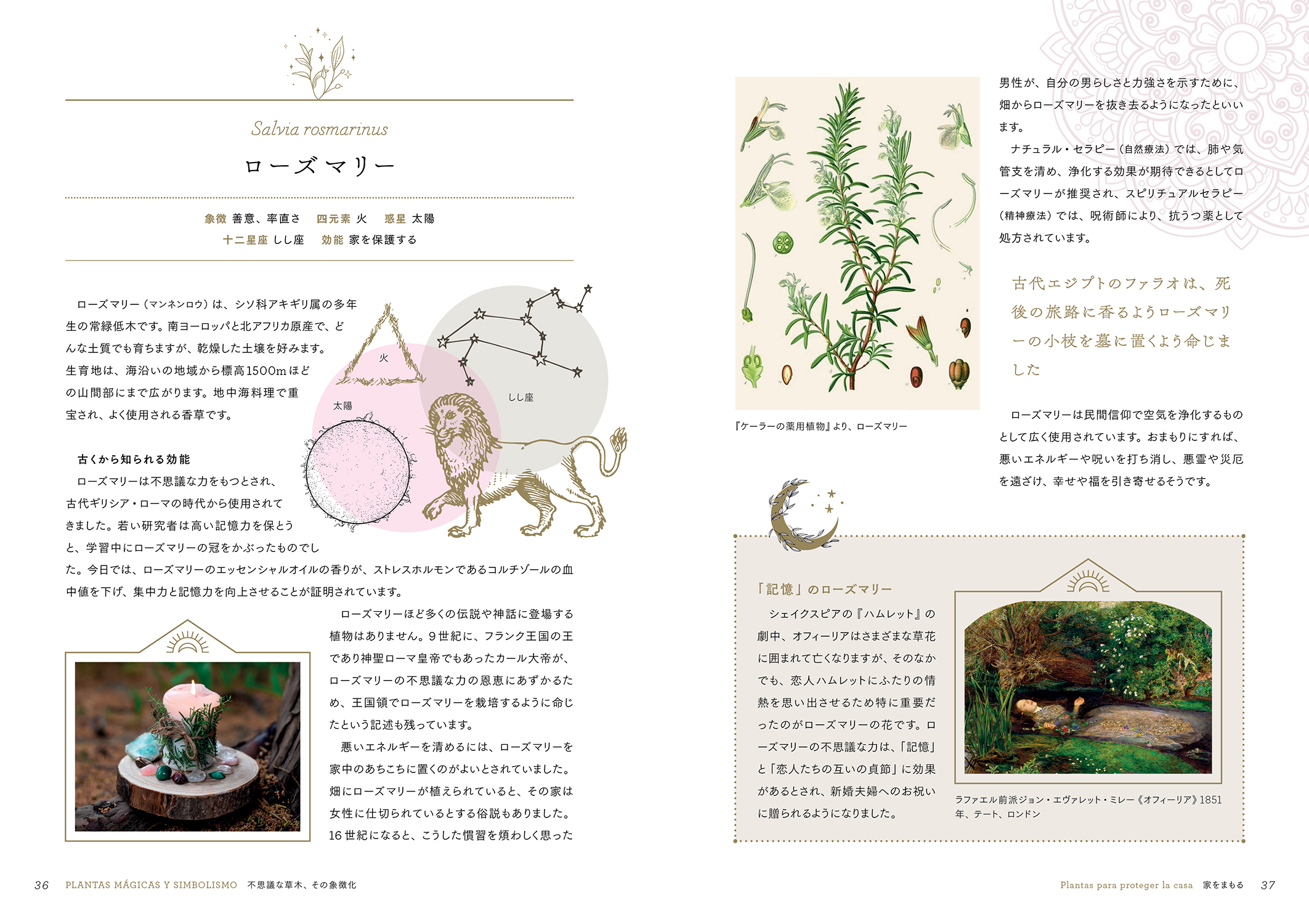 サムネイル画像5