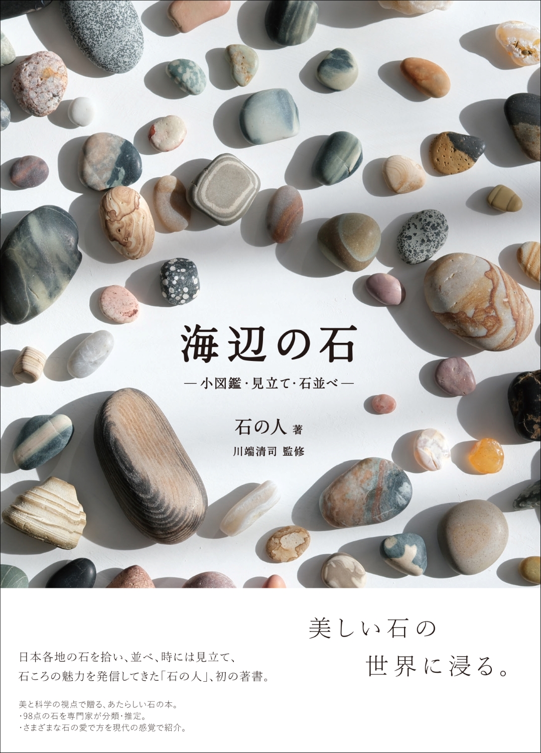 サムネイル画像1