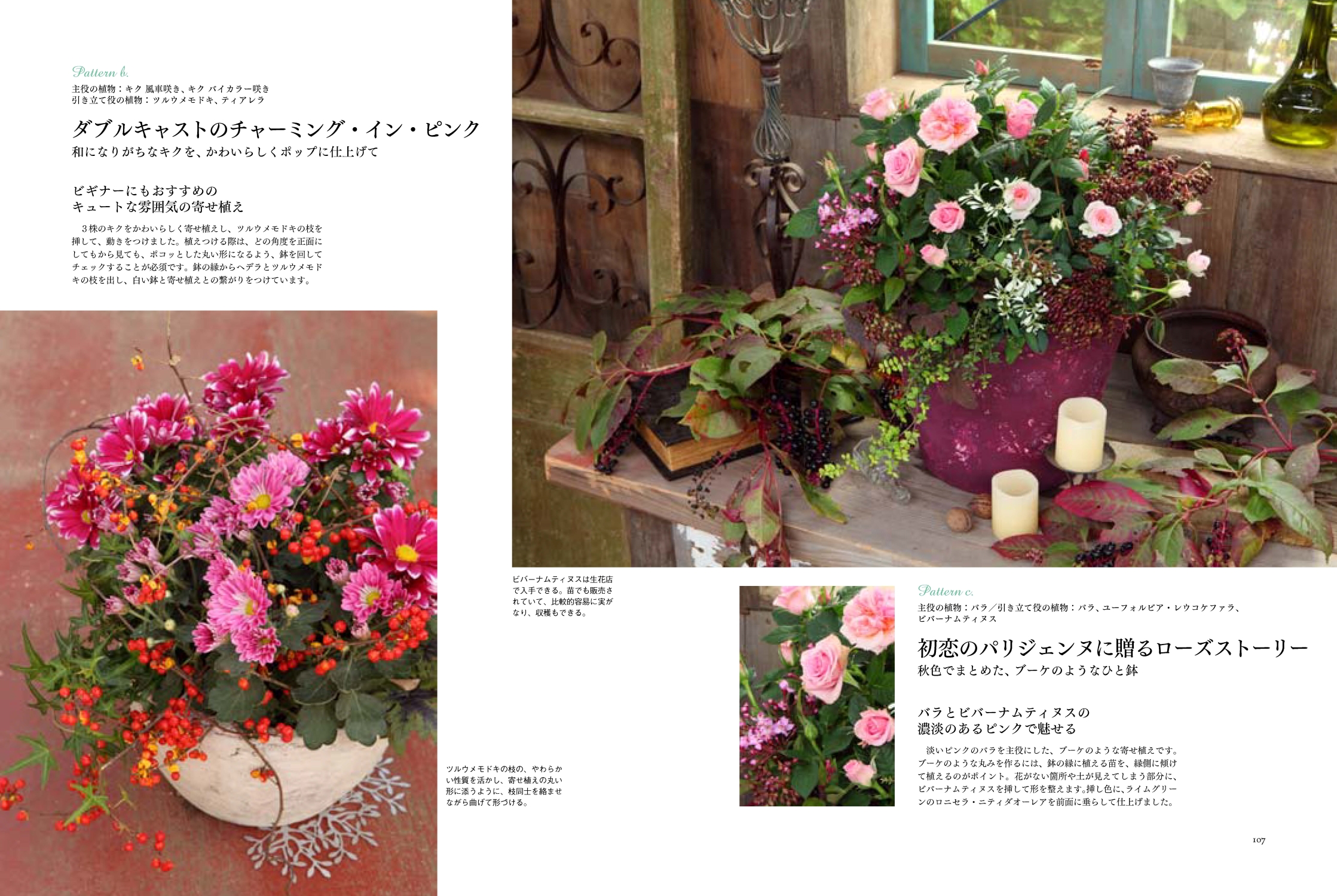 サムネイル画像4