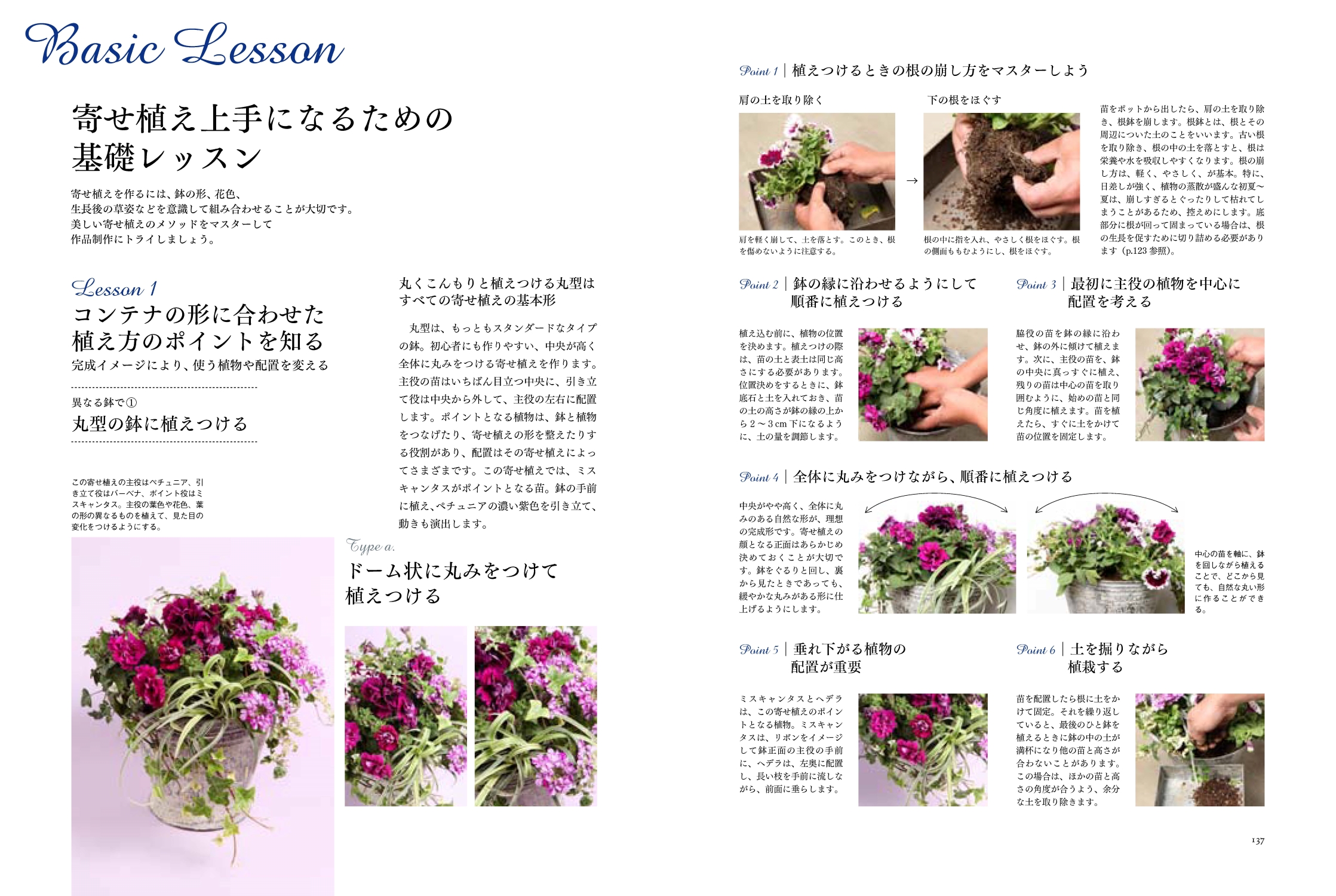 サムネイル画像6