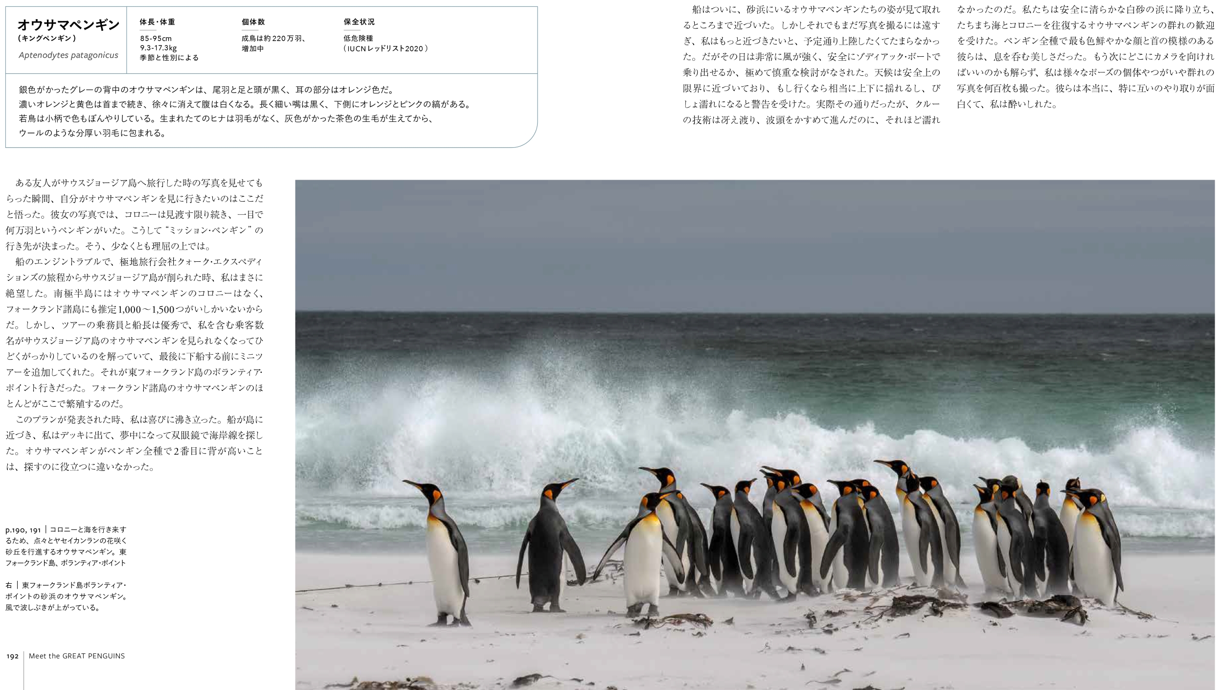 サムネイル画像5