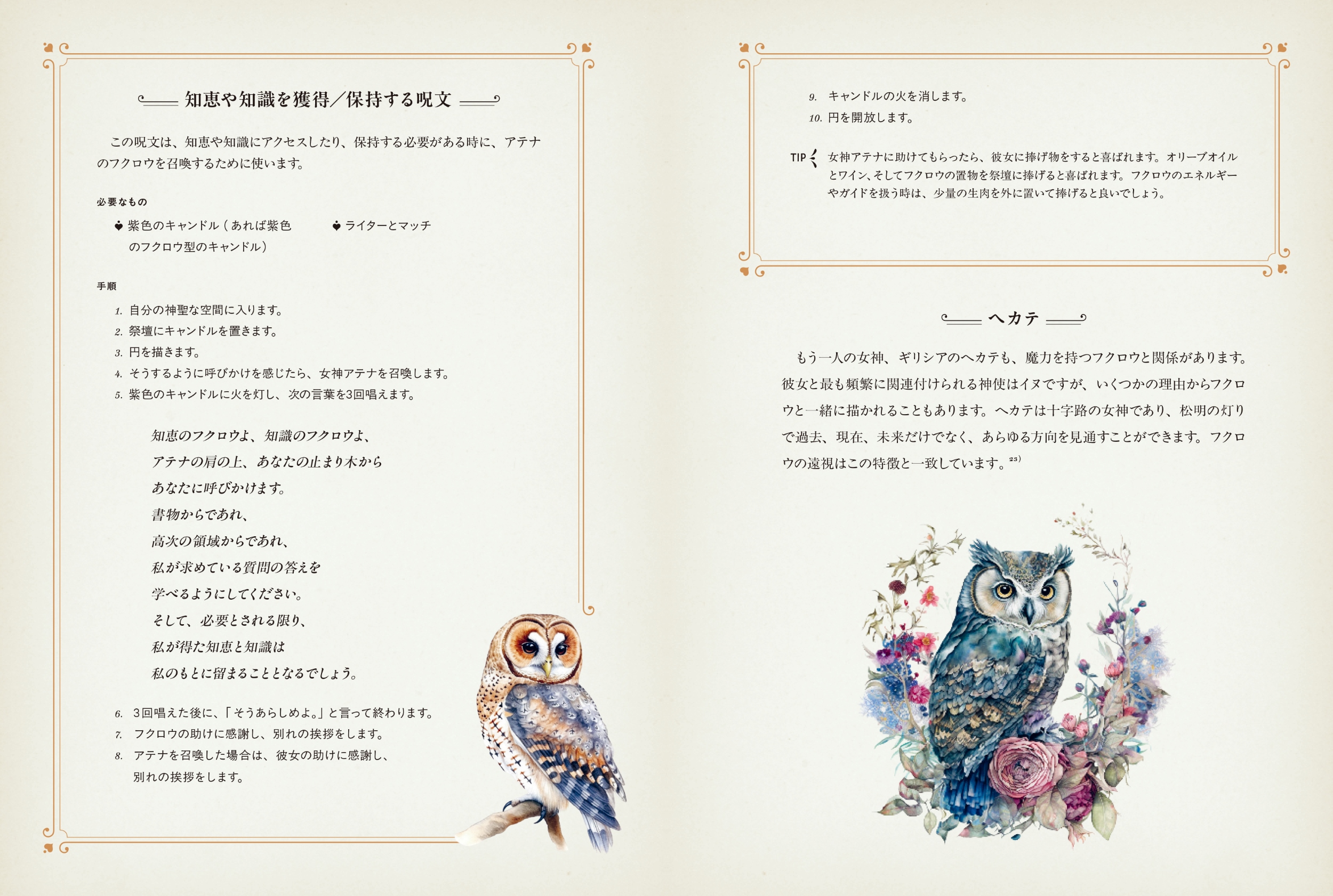 サムネイル画像3